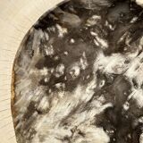 Very large empty pocket or petrified wooden flat