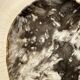 Very large empty pocket or petrified wooden flat