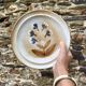 16 Assiettes plates en grès du marais fleuries