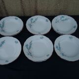 12 assiettes creuses en porcelaine Kahla made in GDR diam 22 cm motif fleurs bleues
