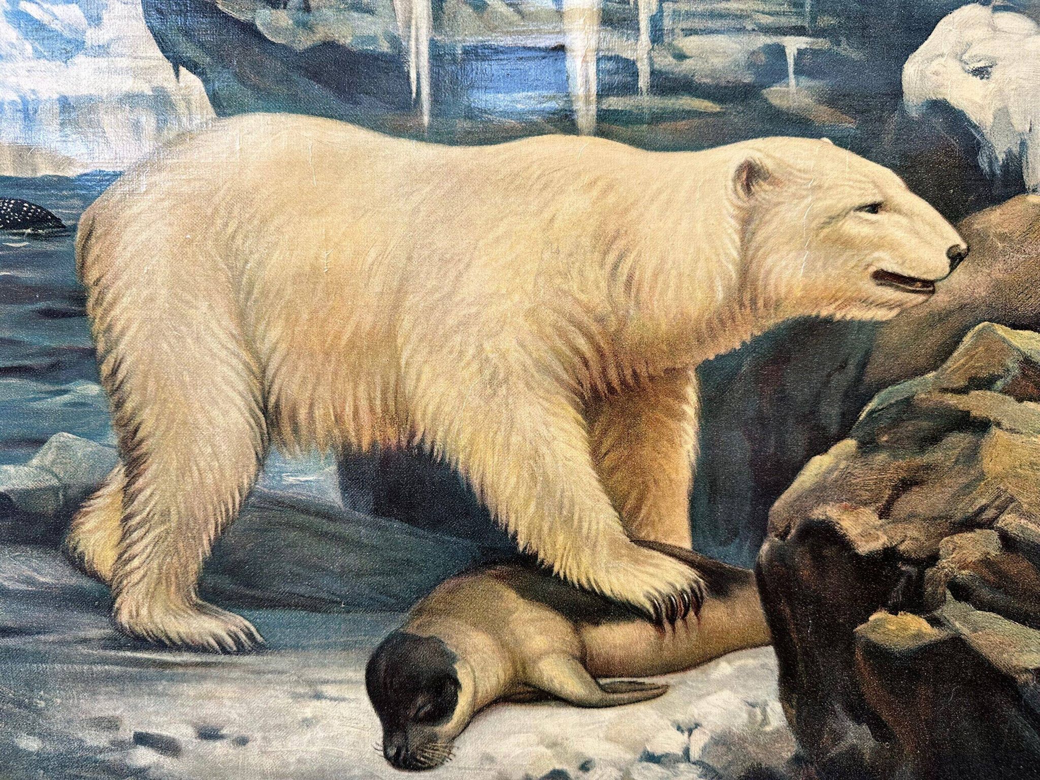 Affiche scolaire en lin vintage – Au milieu de la neige et de la glace