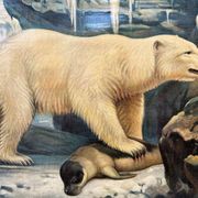 Affiche scolaire en lin vintage – Au milieu de la neige et de la glace