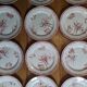 12 assiettes à dessert Sarreguemines Fontanges