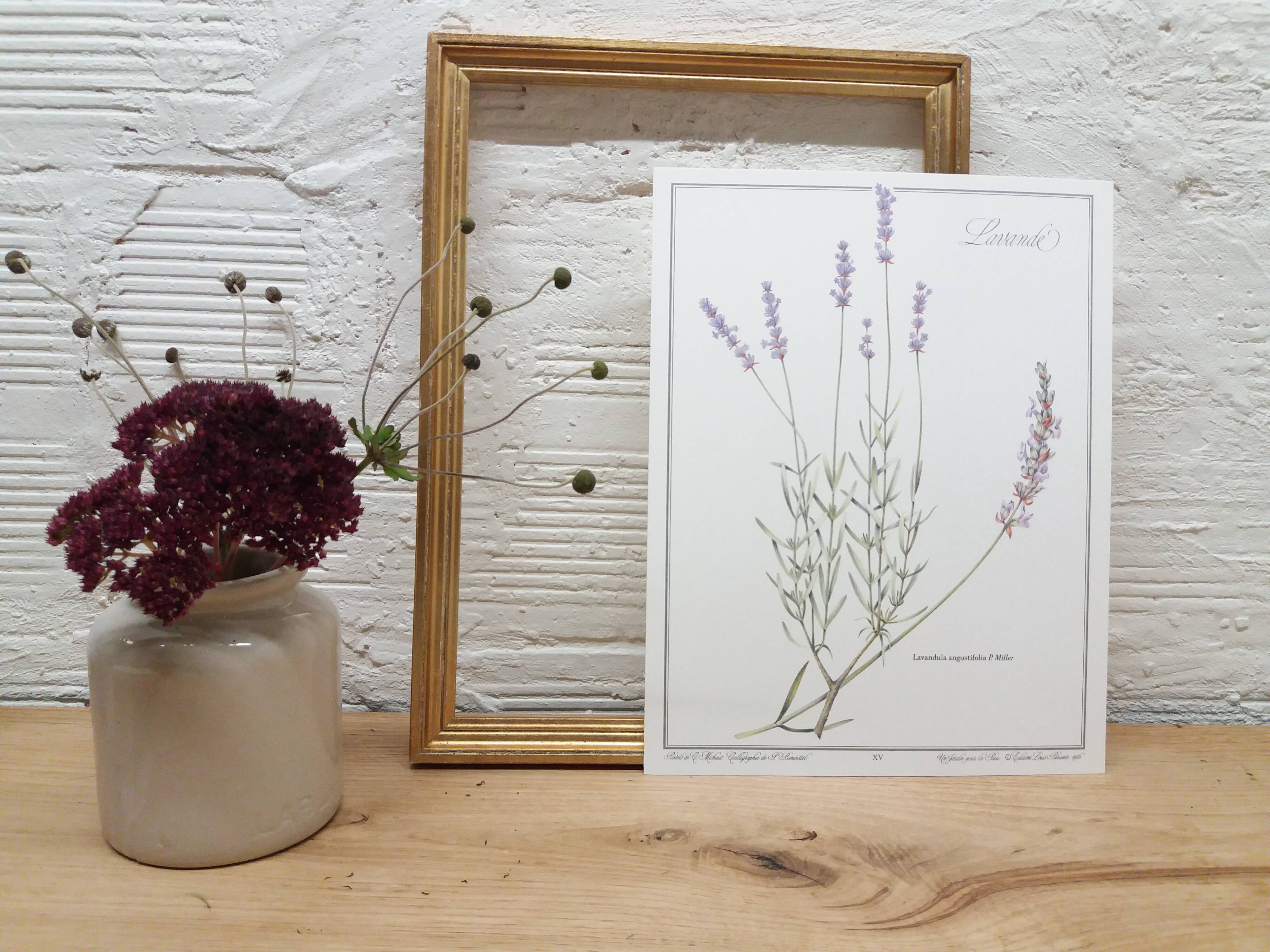 Lavender botanical plank