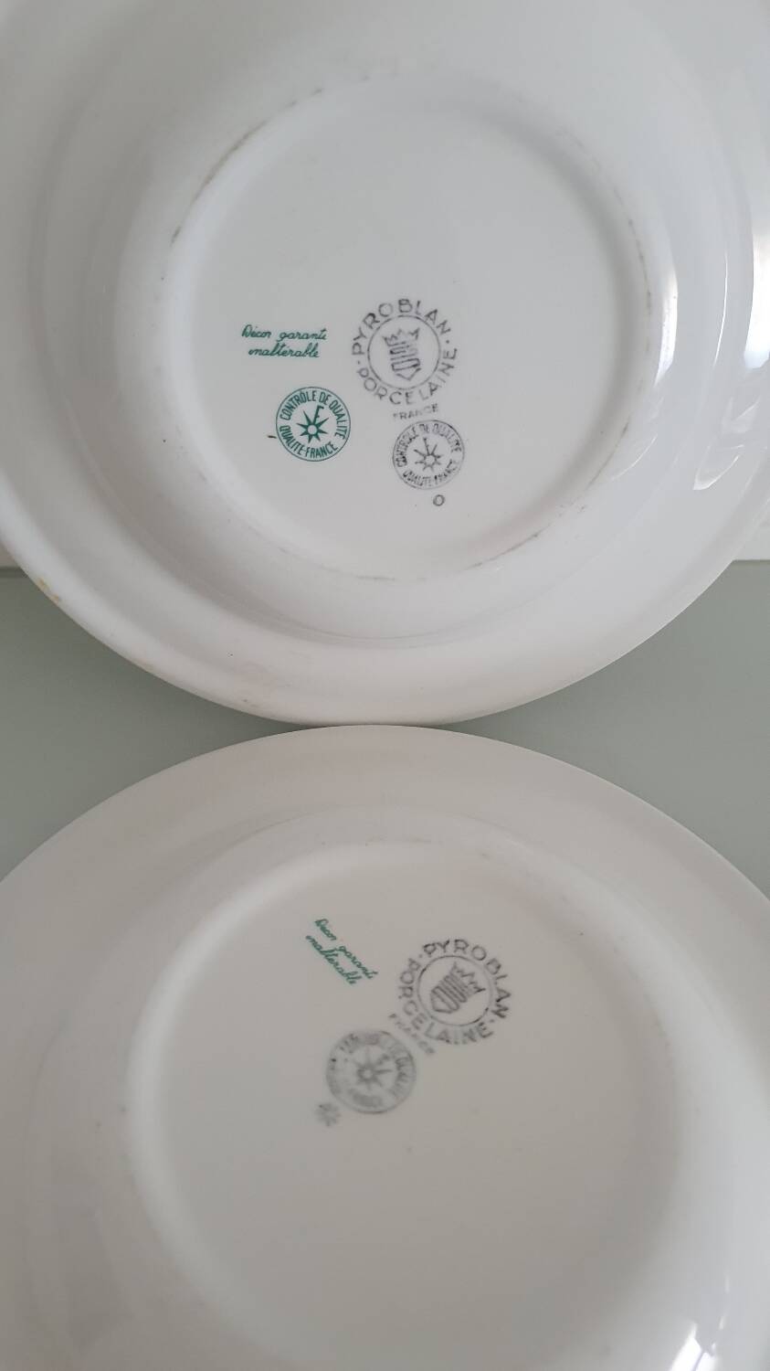 Set of 6 "Bird of Paradise" soup plates from Sarreguemines