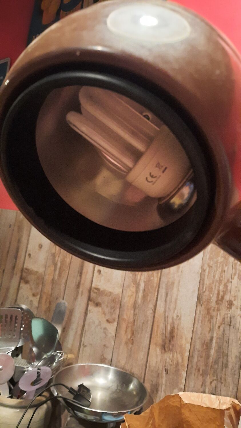 Vintage lamp cobra year 70