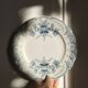 "Regency" - 6 dessert plates in ironstone St-Amand & Hamage