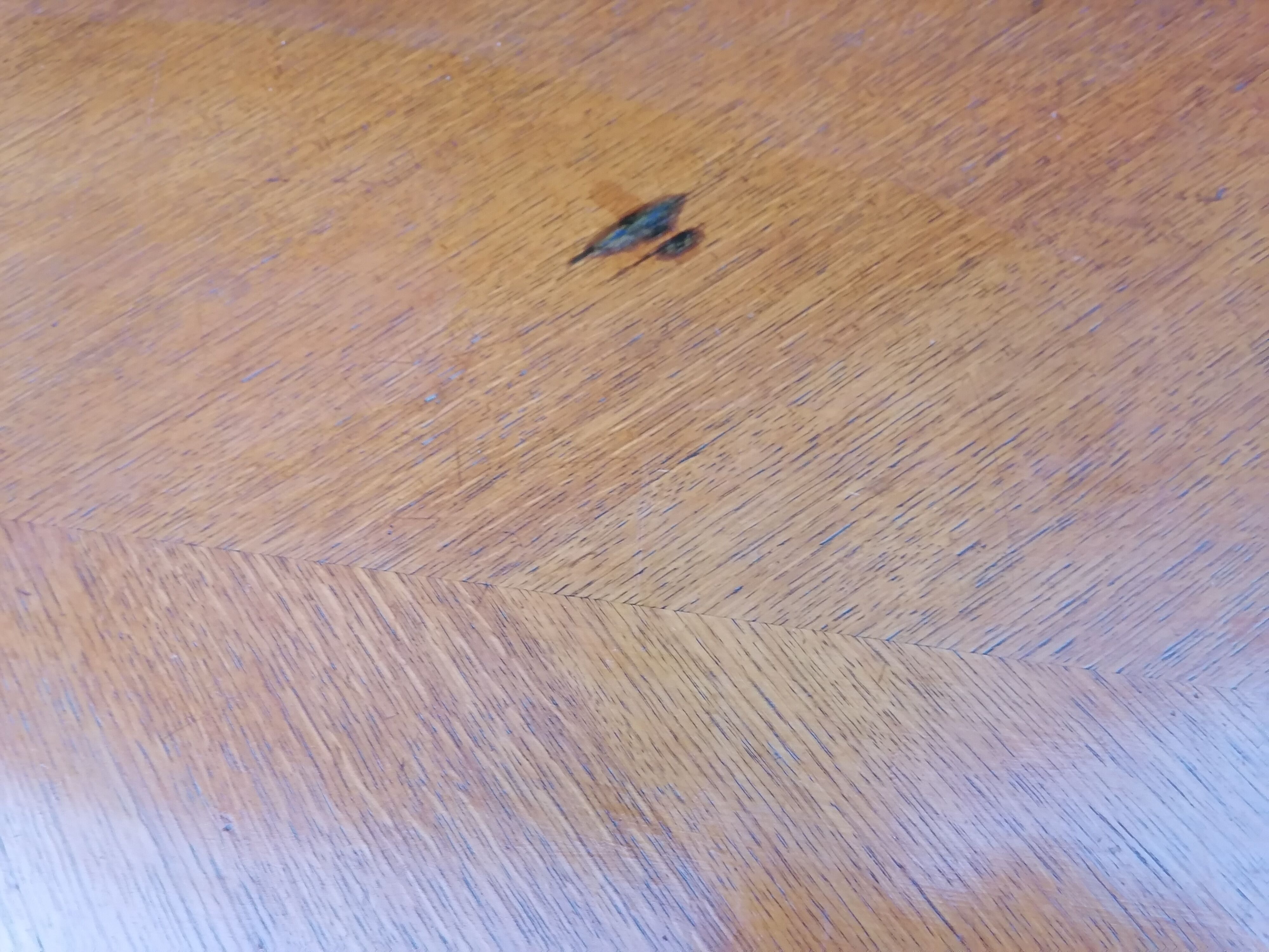 Old buffet foot compass. 1960