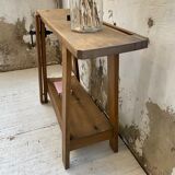 Established XS in cherry tree