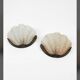 Pair of shell wall lights Art Deco 1930