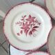 Set of 6 flat plates longchamp pinks years 30-40