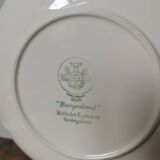 Set of 2 vintage Villeroy and Boch Burgenland plates with blue flower pattern