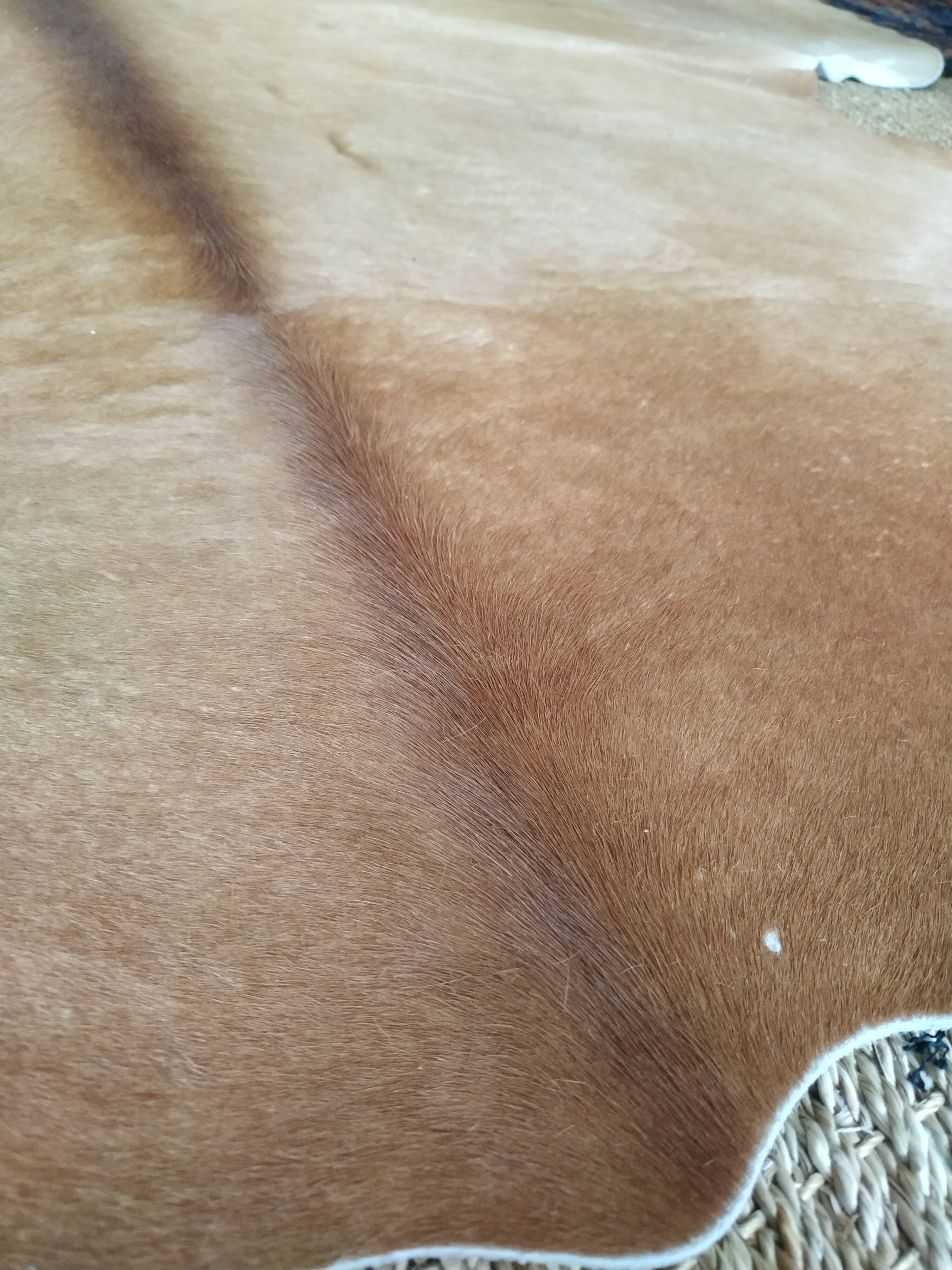 Cow skin carpet