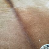 Cow skin carpet