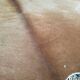 Cow skin carpet