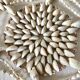 Shell centerpiece 35 cm
