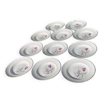 Set of 11 old hollow flat plates from the Moulin des loups earthenware factory Orchies model Pavie