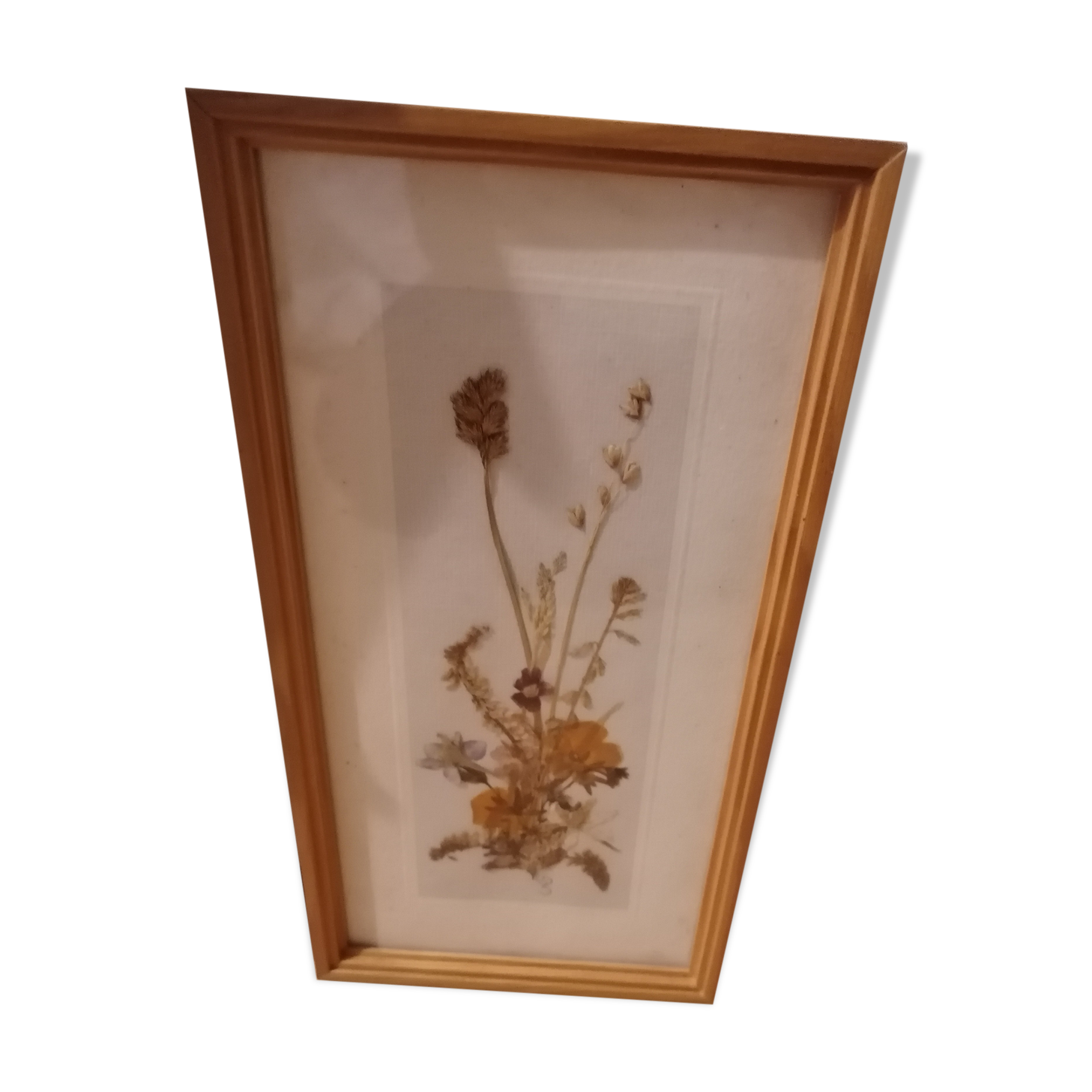 Frame dried flowers