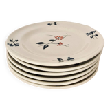 Stoneware plates