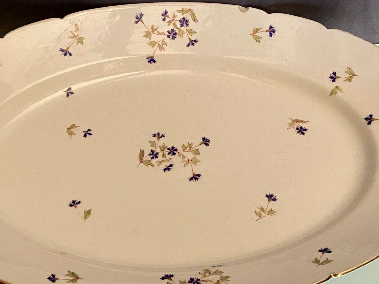 Oval-shaped dish in Limoges porcelain decoration with Louis XV style barbels