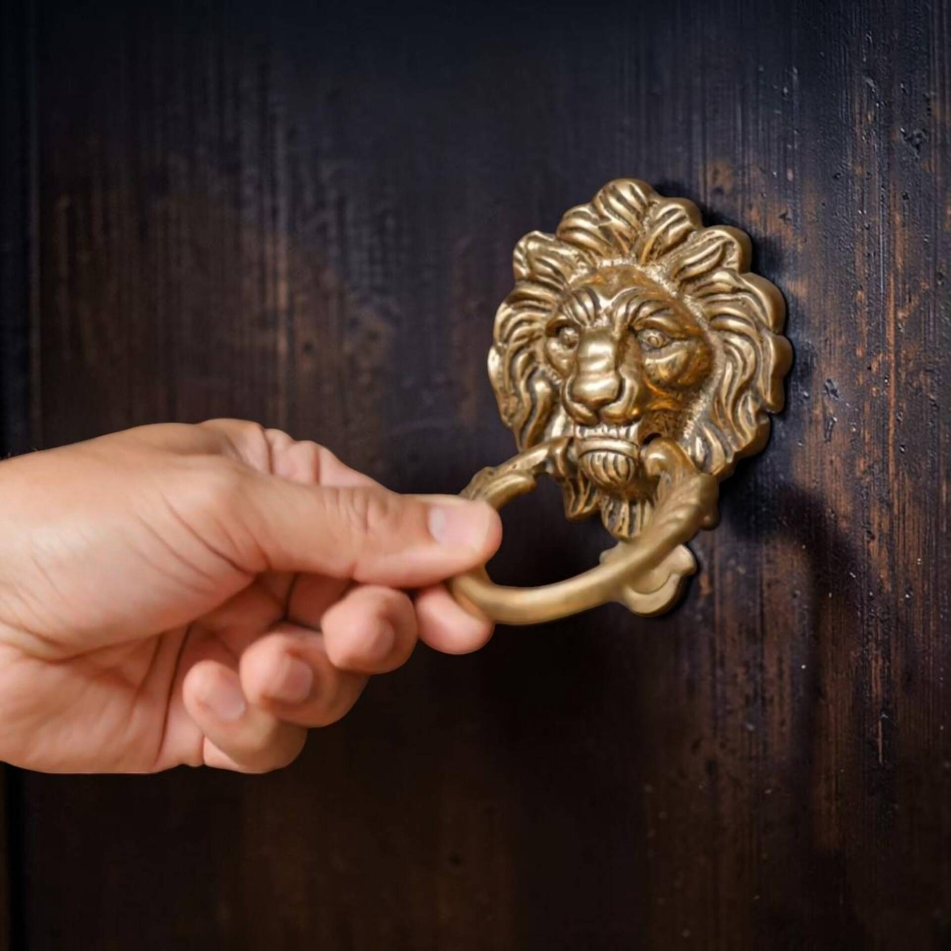 Lion Head Door Knocker in Solid Brass, Antique Door Handle