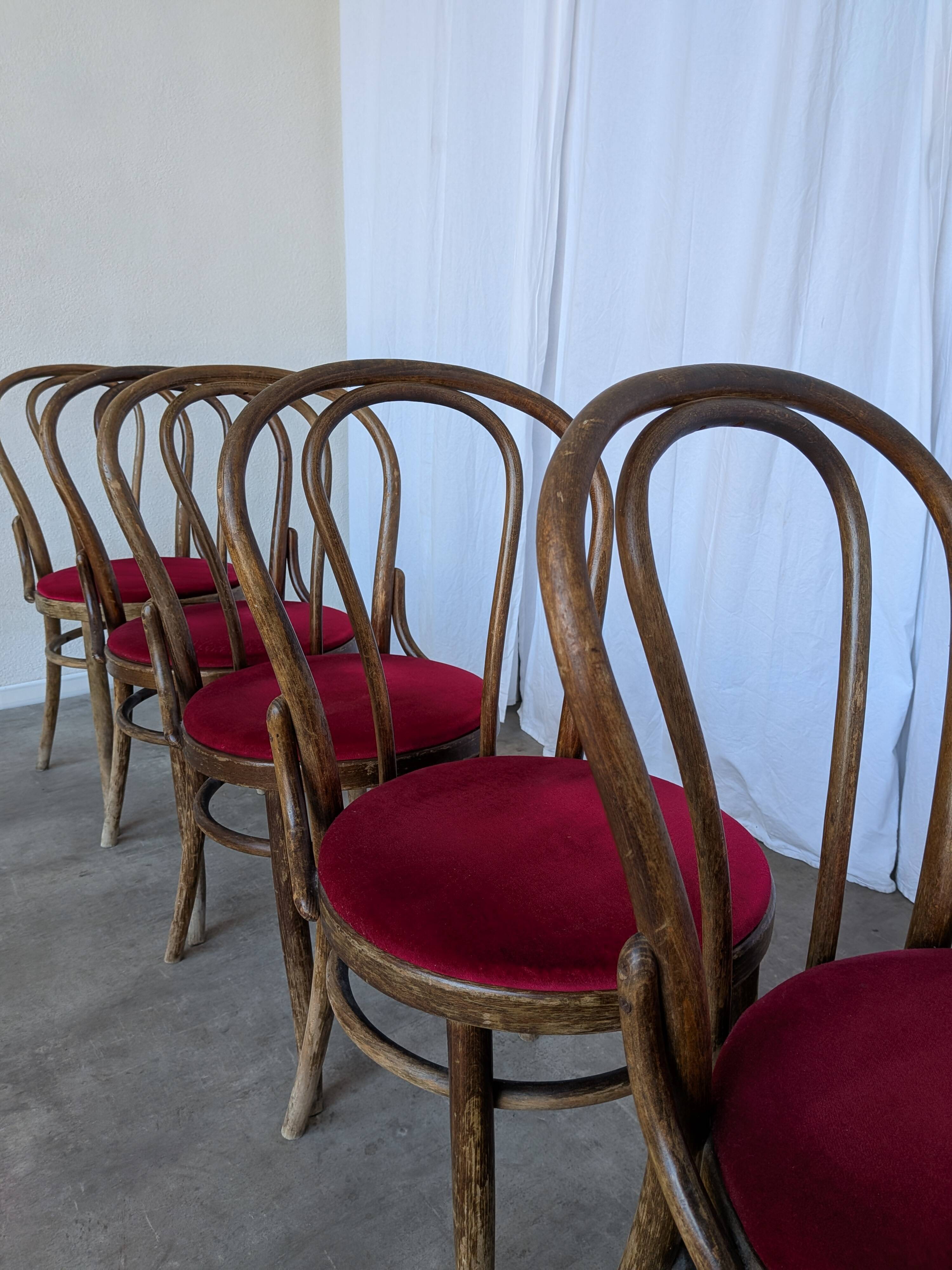 Set of 6 Vintage Bentwood Dining Chairs Set: 1970s , Red Uphols