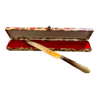 Case with serving knife