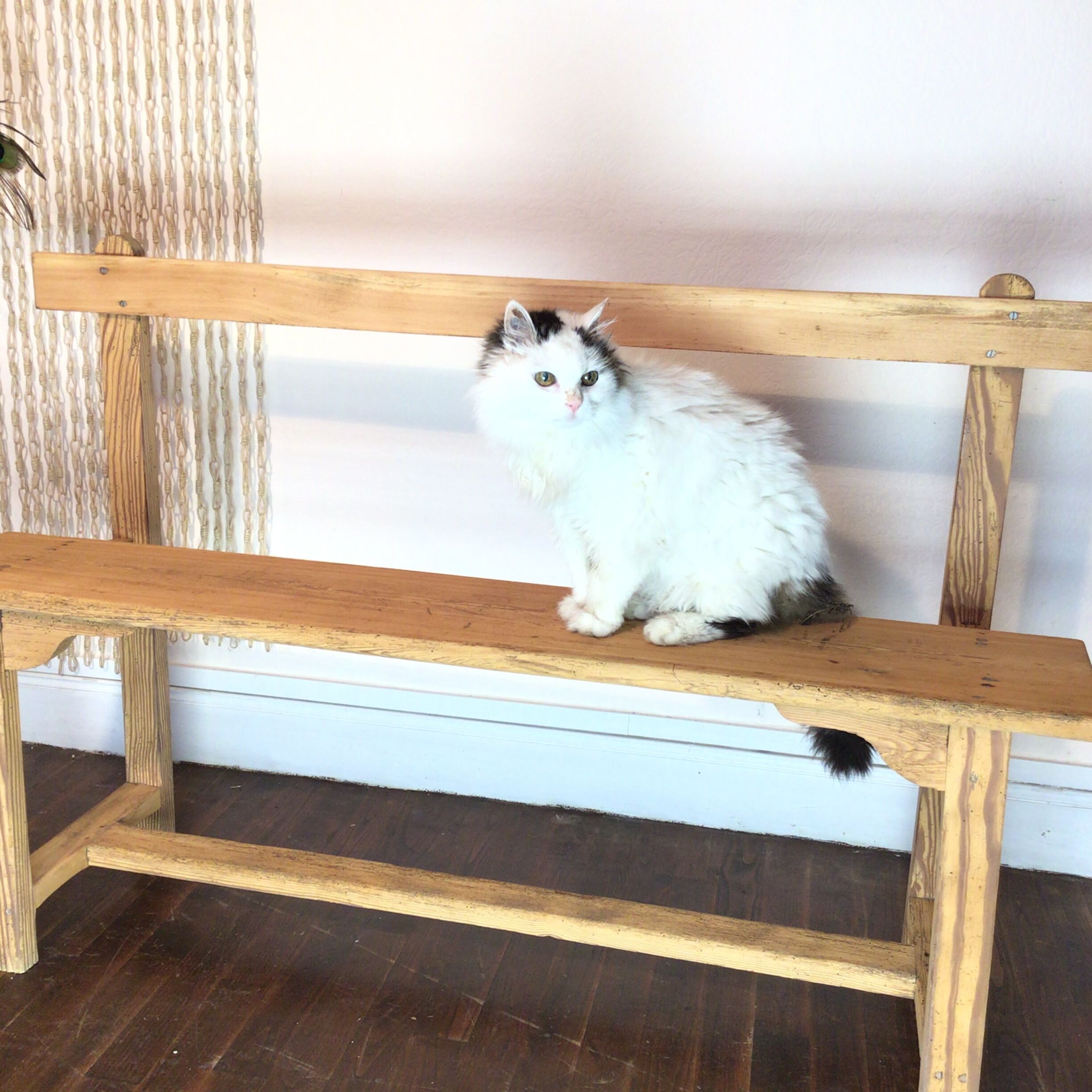Oak school bench