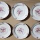 Lot de 12 assiettes motif floral - Porcelaine St Luc Limoges