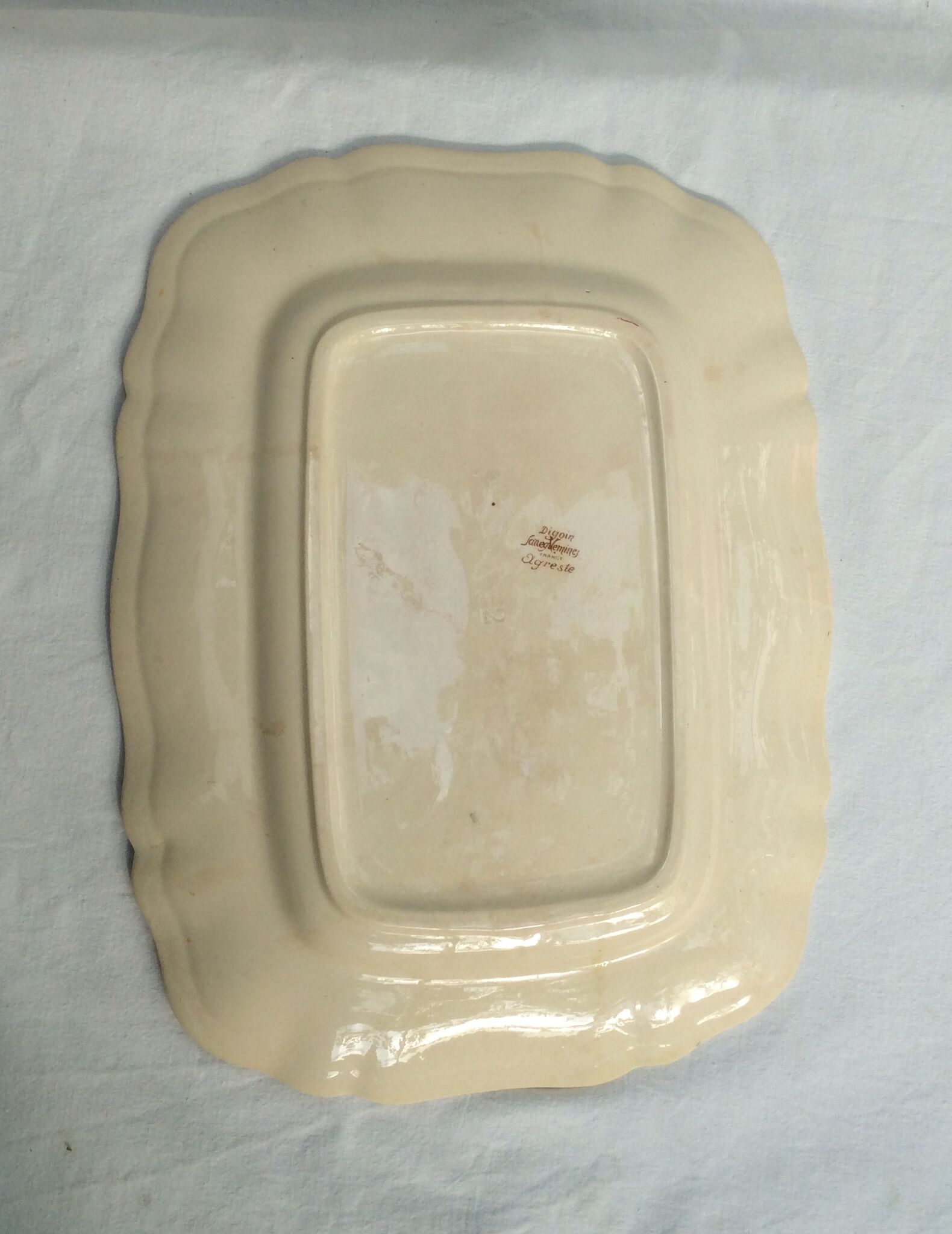 Former dish collection Agreste digoin Sarreguemines in rectangular earthenware dimension: L-39- Pr-30