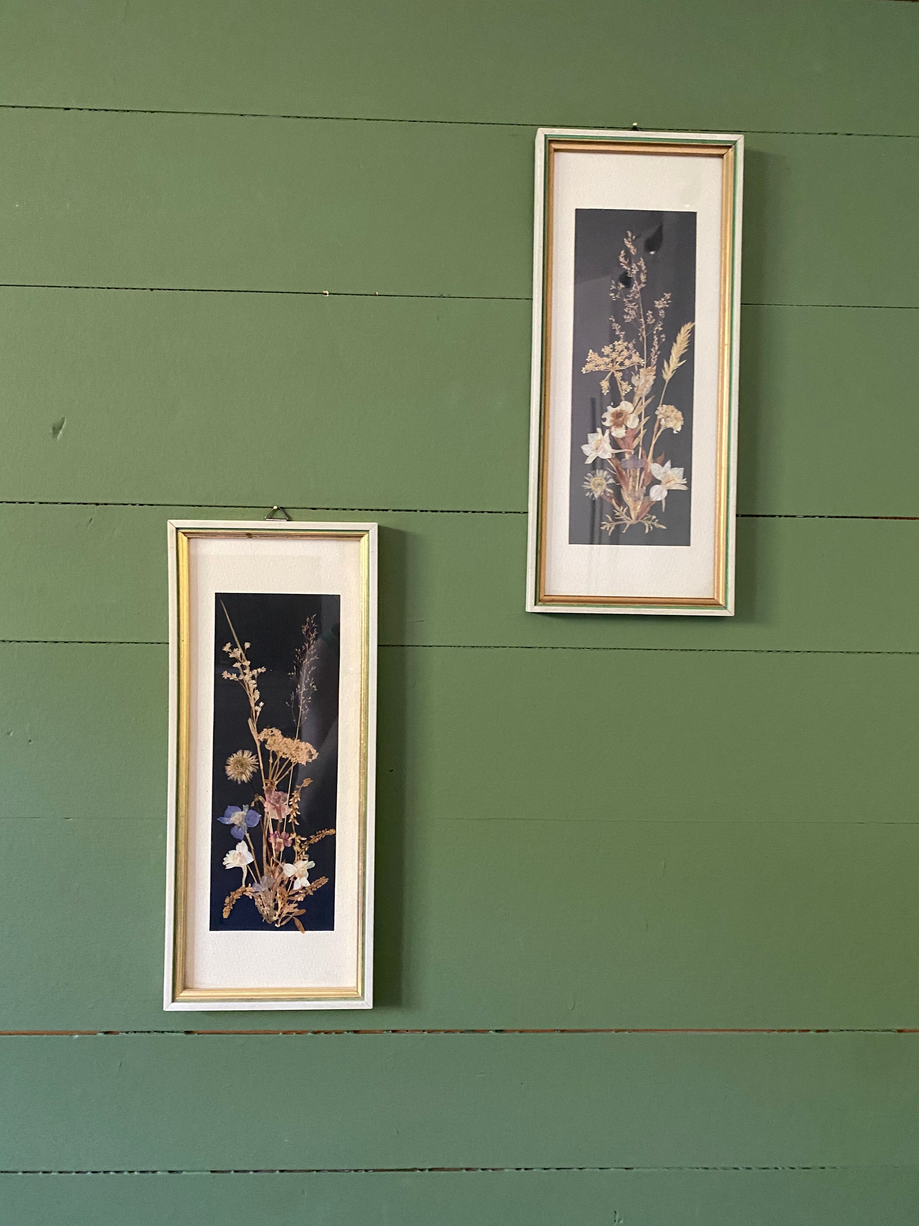 Framed seagrass beds