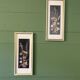 Framed seagrass beds