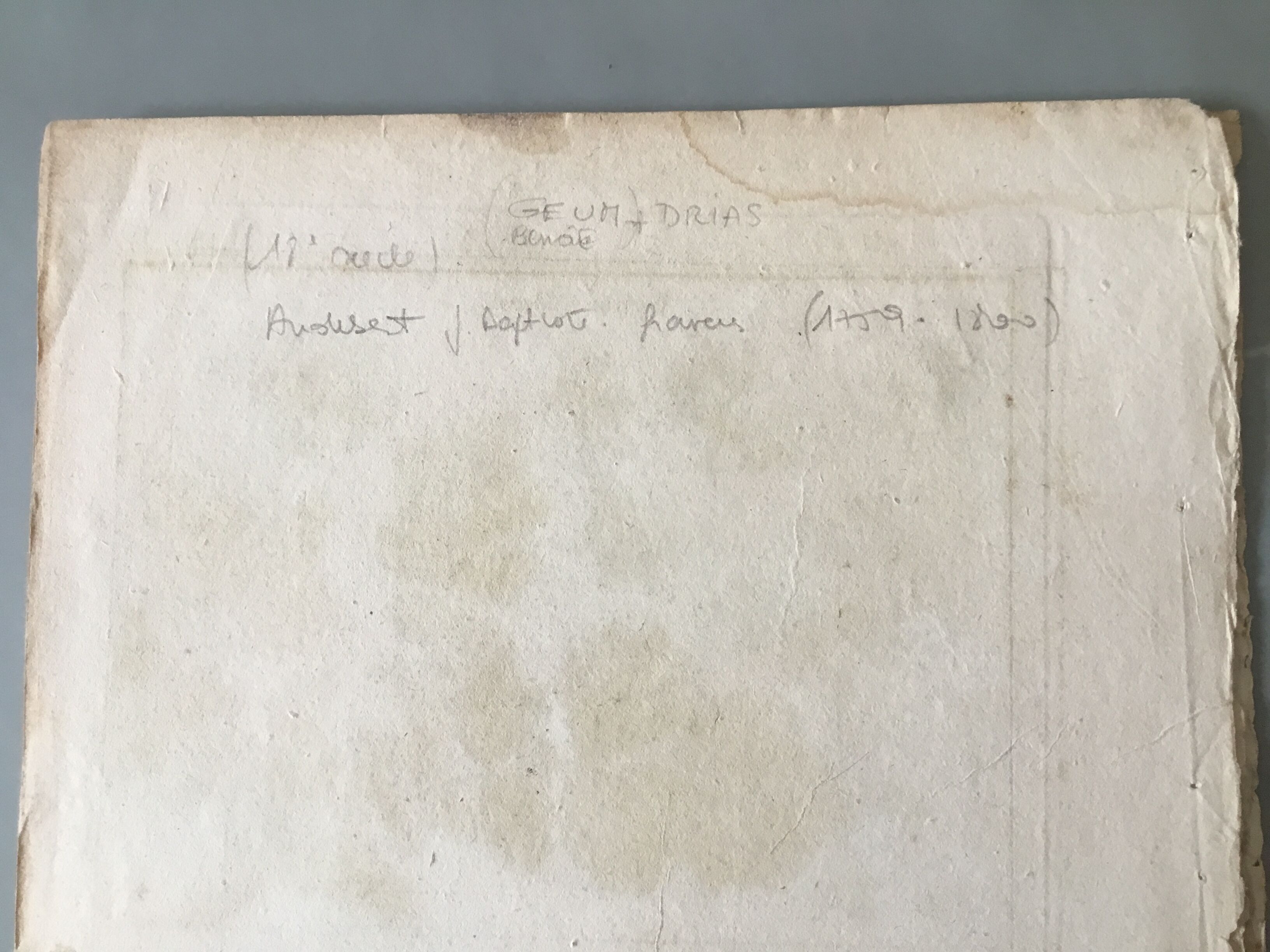 Lots of 4 old engravings, Natural History, Botany