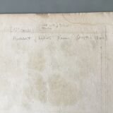Lots of 4 old engravings, Natural History, Botany