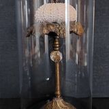 Cabinet of Curiosities globe with sea urchin paracentrotus lividus