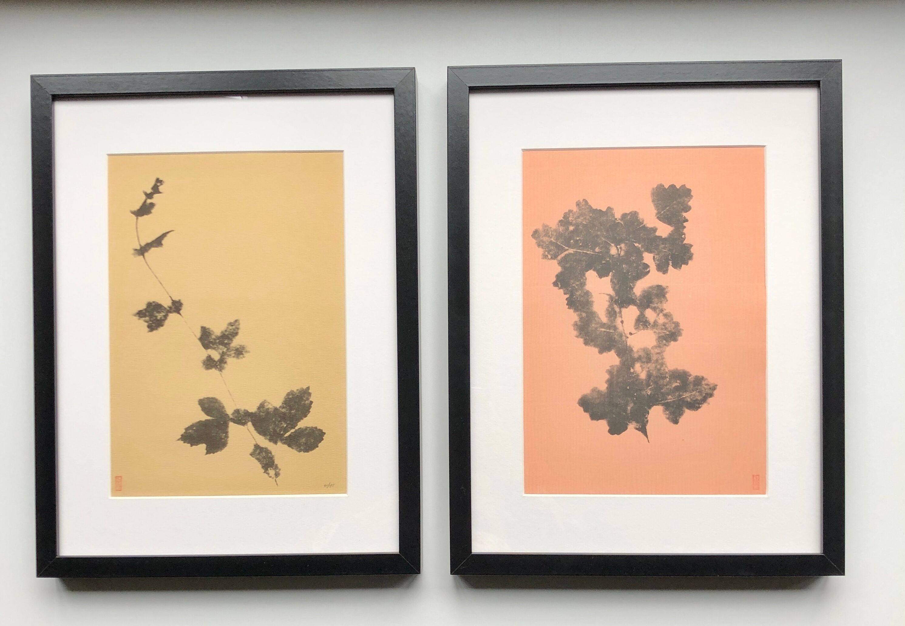 Framed lithograph - extract from the notebook "Les Natugraphies" - Albert de Visscher