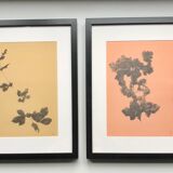 Framed lithograph - extract from the notebook "Les Natugraphies" - Albert de Visscher