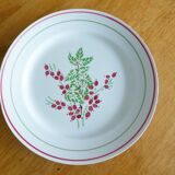 1 red and green plate 221238