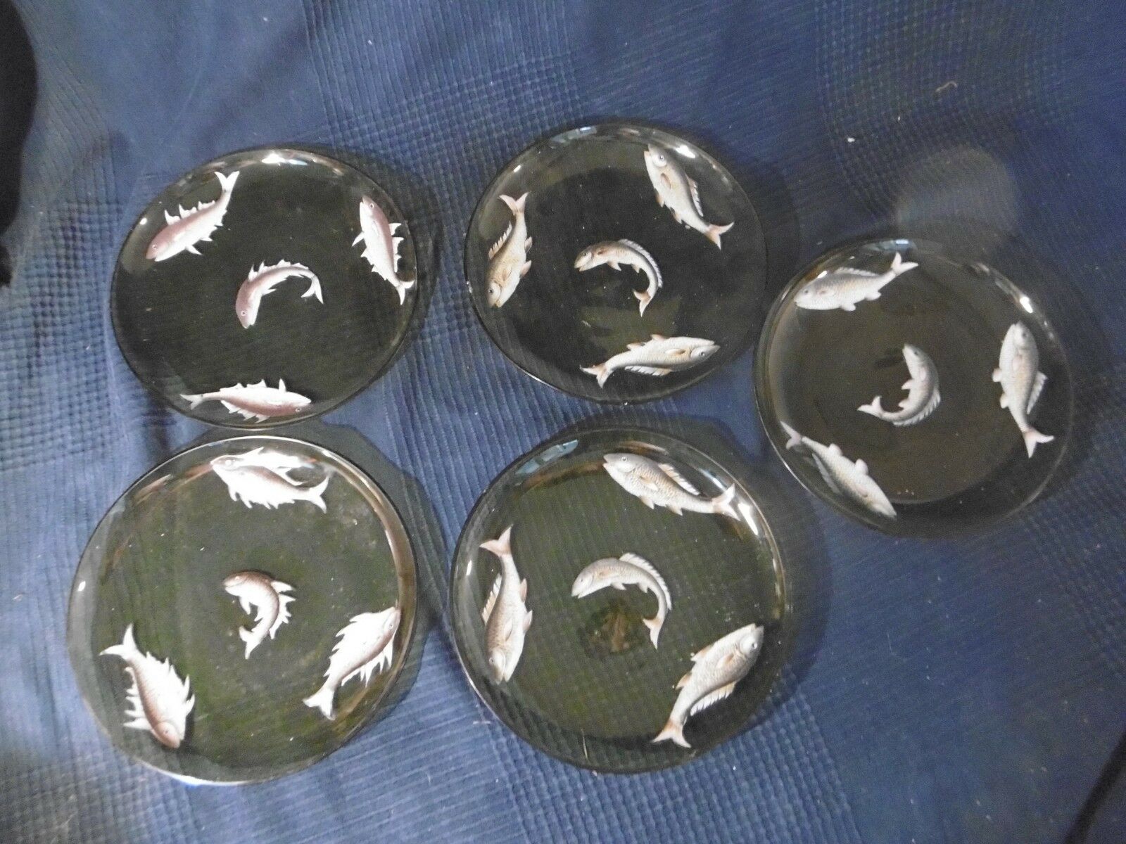 Set of 5 old plate in e emaille glass or hand-painted old fish decoration
