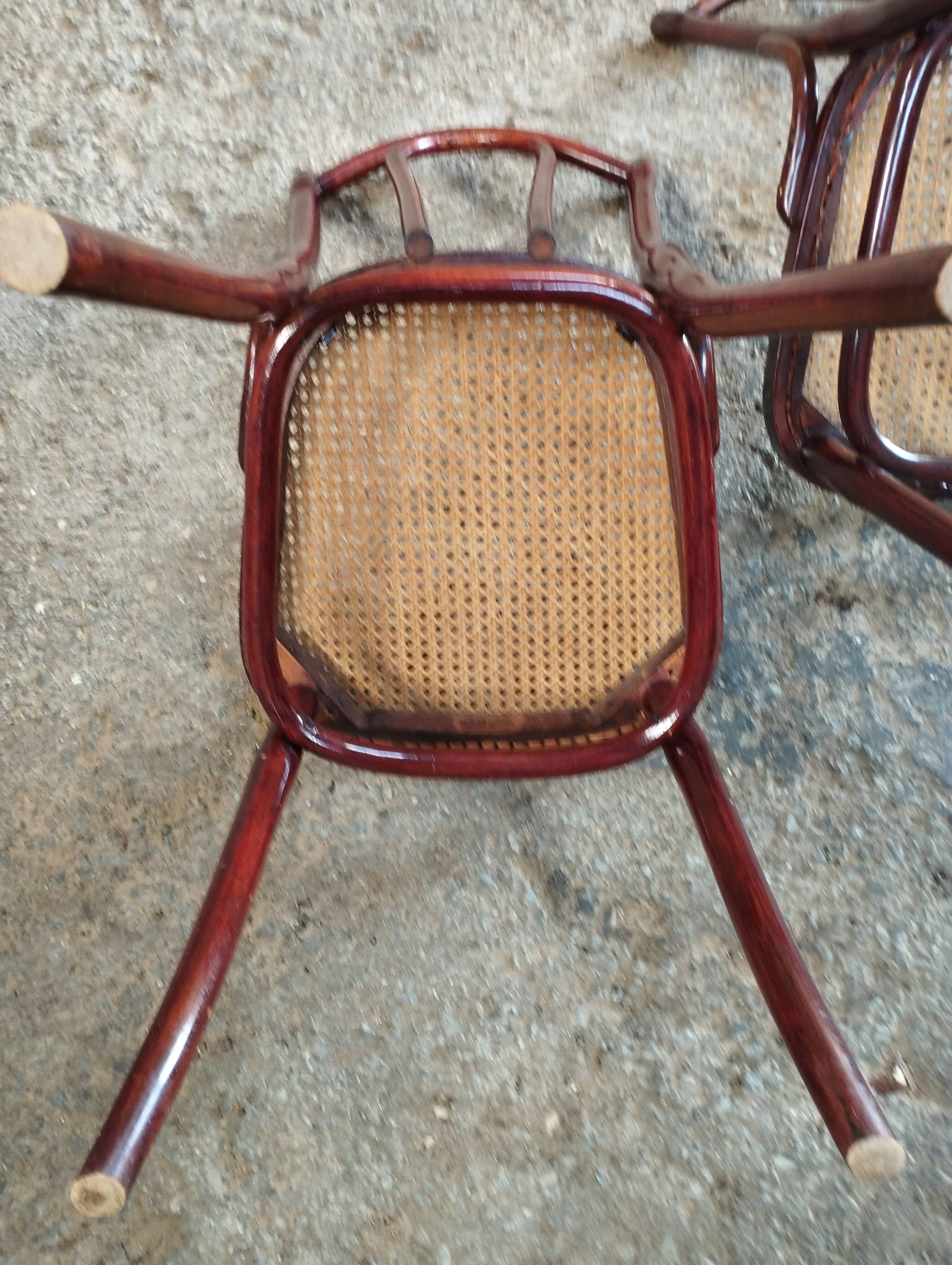 Set of Thonet chairs