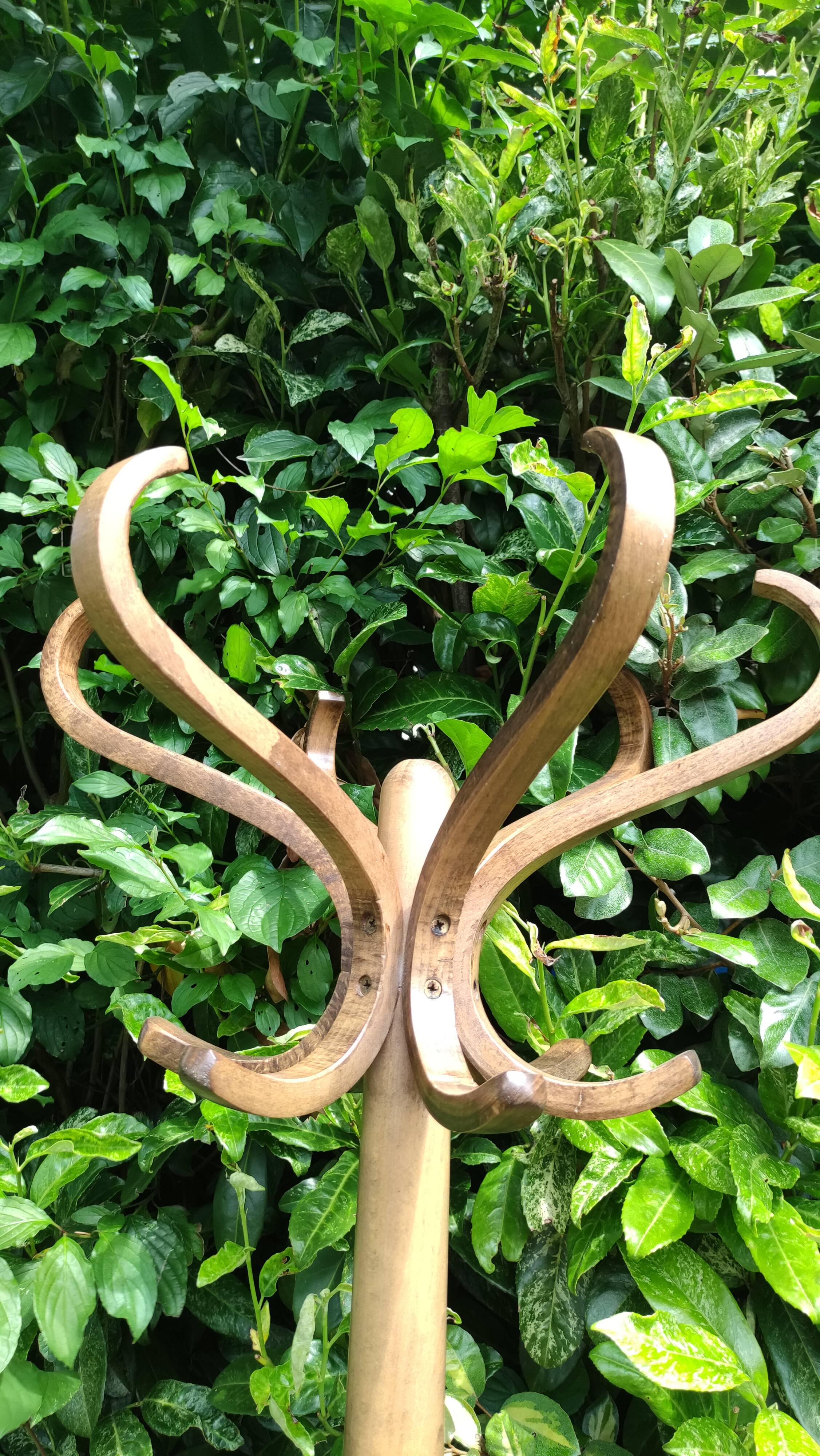 Baumann wooden parrot coat rack