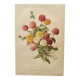 Botanical engraving from 1897 - Zinnia elegant Double Lilliput Varié - Original plate, Lithograph
