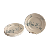 Lot 6 Plate Plates Faience Longwy Model Mignon