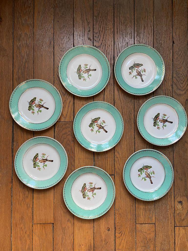 Set of 8 flat plates from the 50s-60s, turquoise rim and bird pattern.