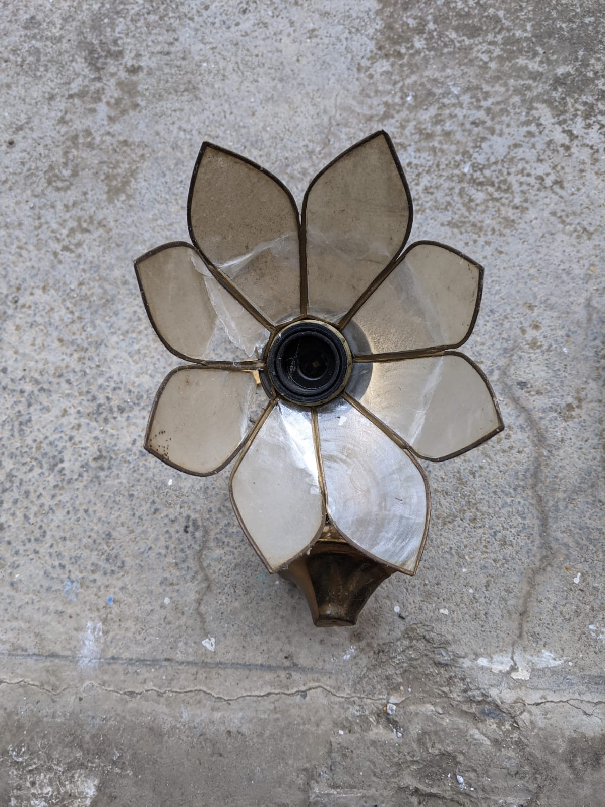 Paire d'appliques fleur en nacre