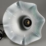 1960s 1970s Hanging Lamp from Peill & Putzler Germany Space Age Design