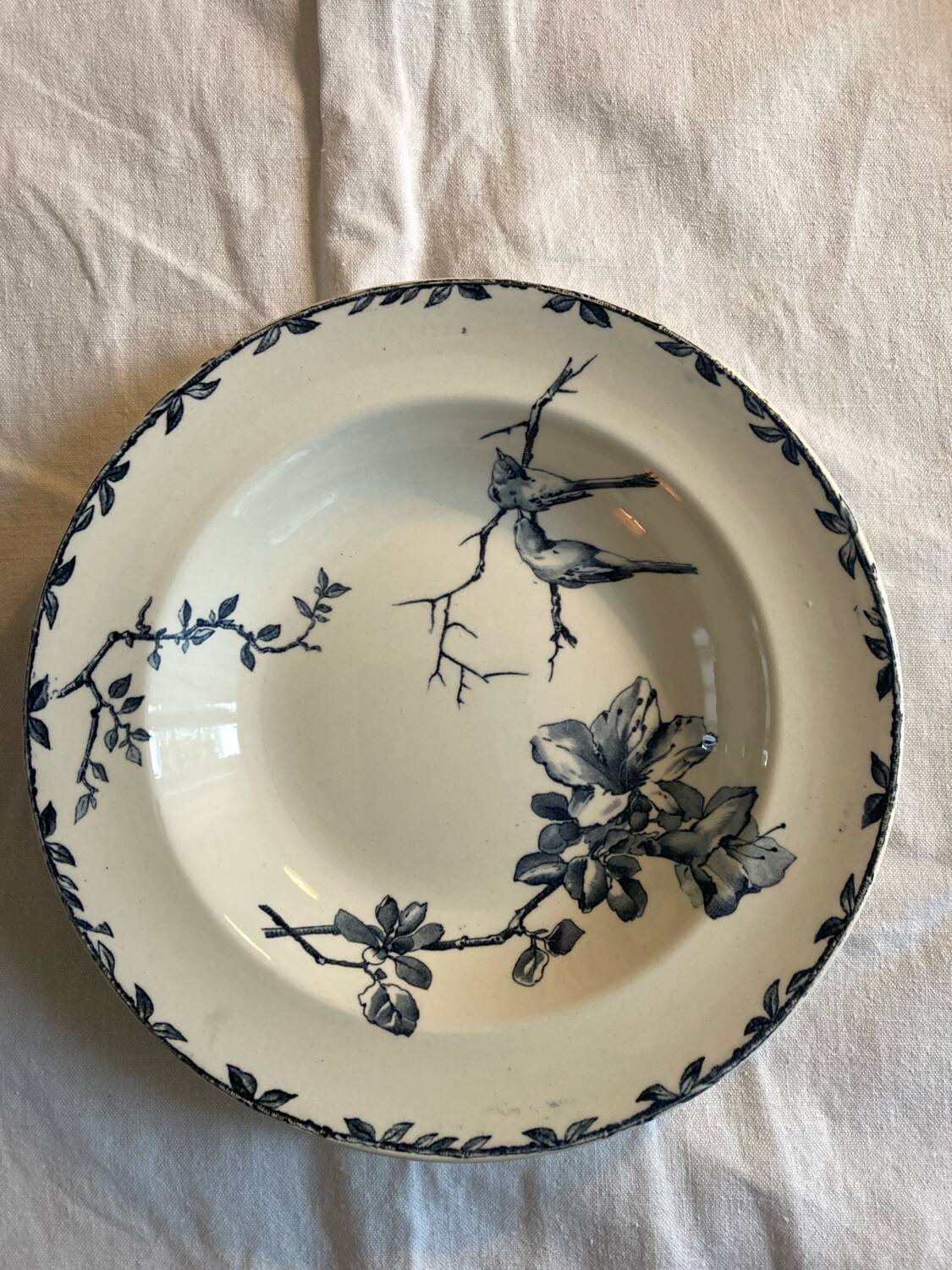 6 Spring Oxford ironstone soup plates