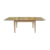 Table 2 extension leaves