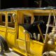 Voiture rétro année 1908