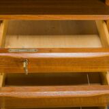 Danish Teak Desk by Peter Lovig Nielsen for Hedensted Mobelfabrik, 1960s